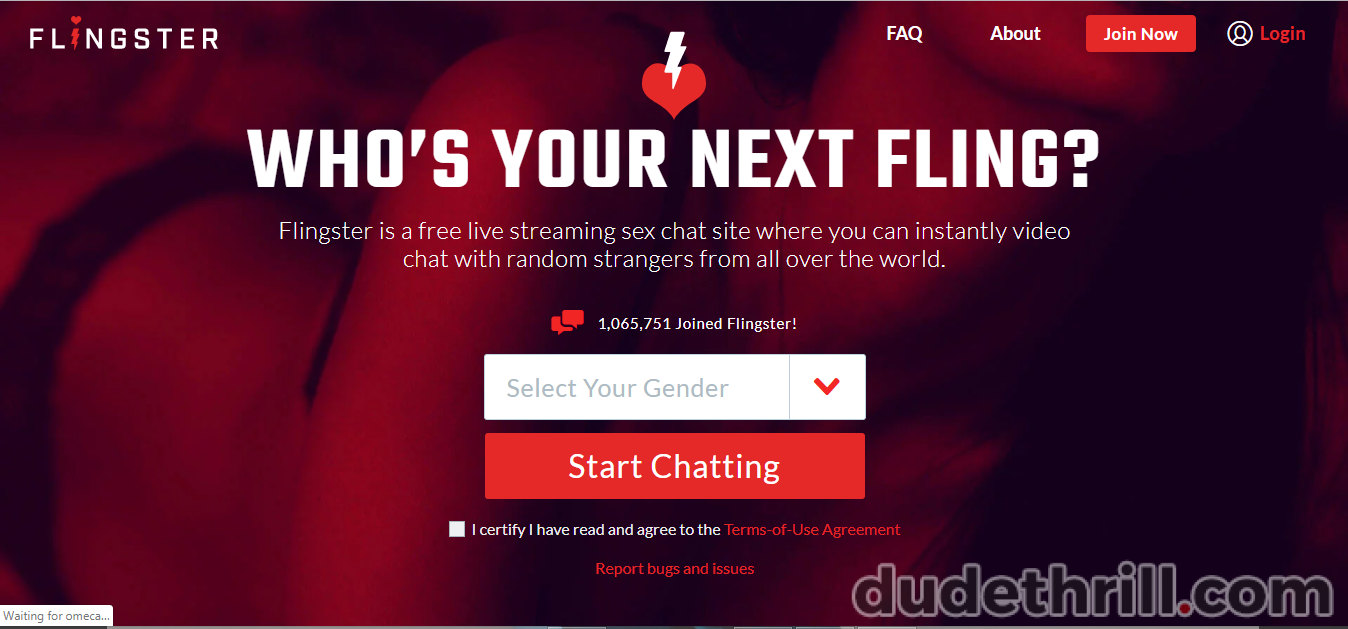 Greatest 10 Adult Chat Sites (Like Dirty Roulette, Omegle and More)