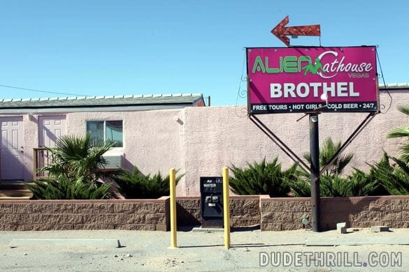 Burdel Alien Cathouse