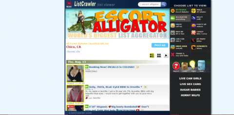 ListCrawler & 14 Best Escort Hookup Sites Like ListCrawler.com