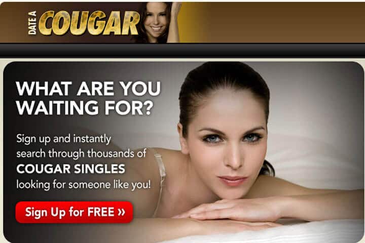 date a cougar