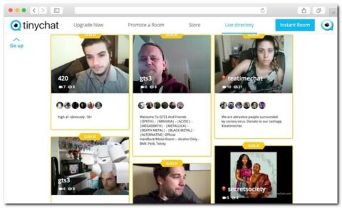 Seguridad de TinyChat