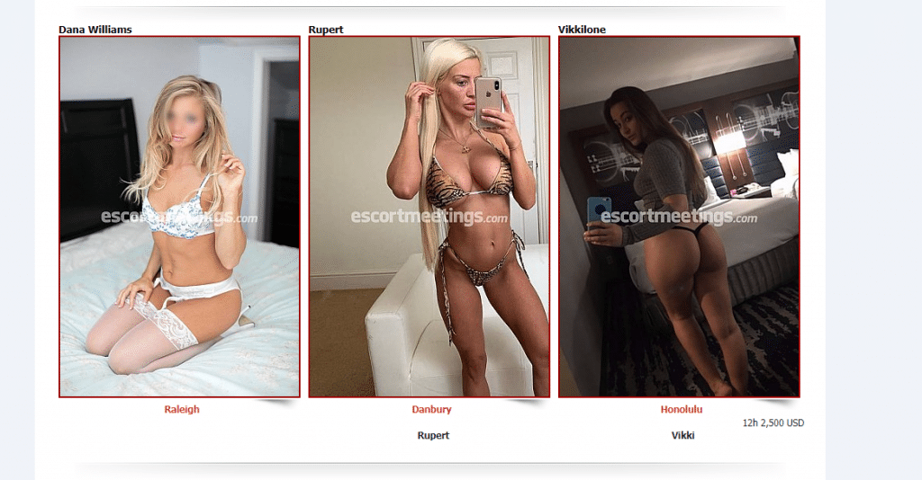 escortvergaderingen escorts