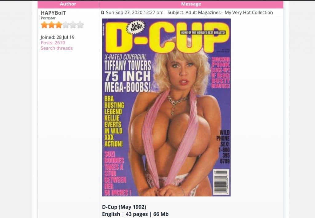 Porno-W-Magazin