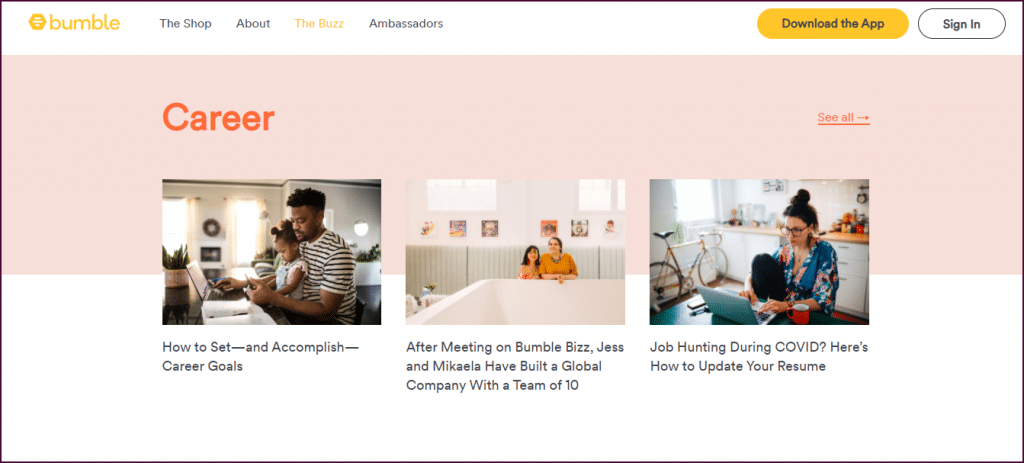 bumble succes job