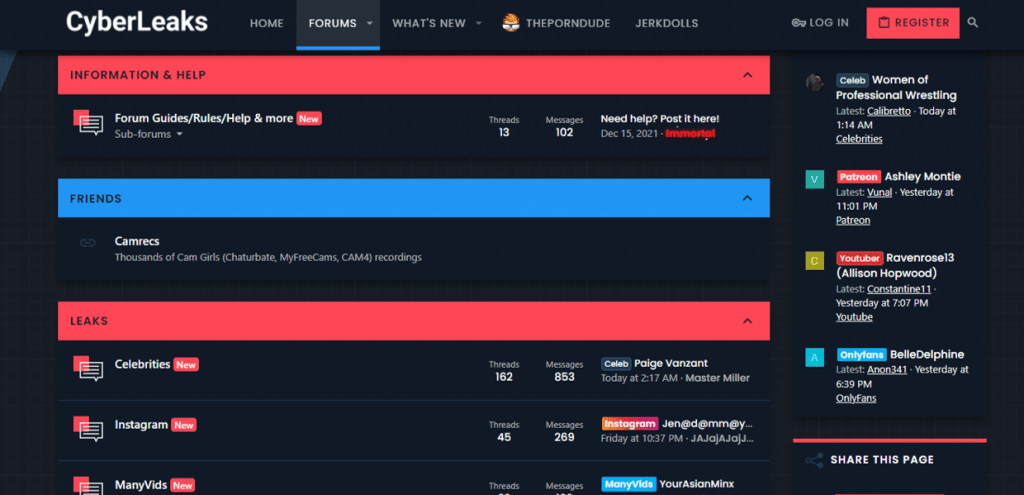 siber sızıntı forumları