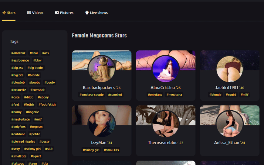 Mega Cams e os 12 principais sites de webcam de sexo adulto como Megacams.me