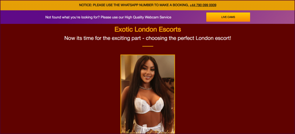 AngelsOfLondon exotic