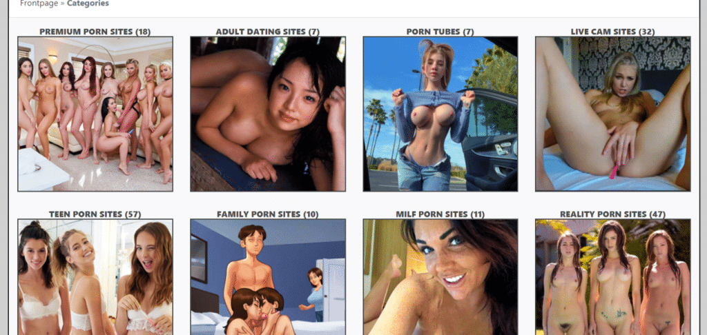 paidpornguide categories