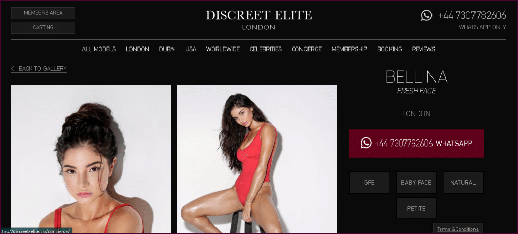 Discreet Elite fresh