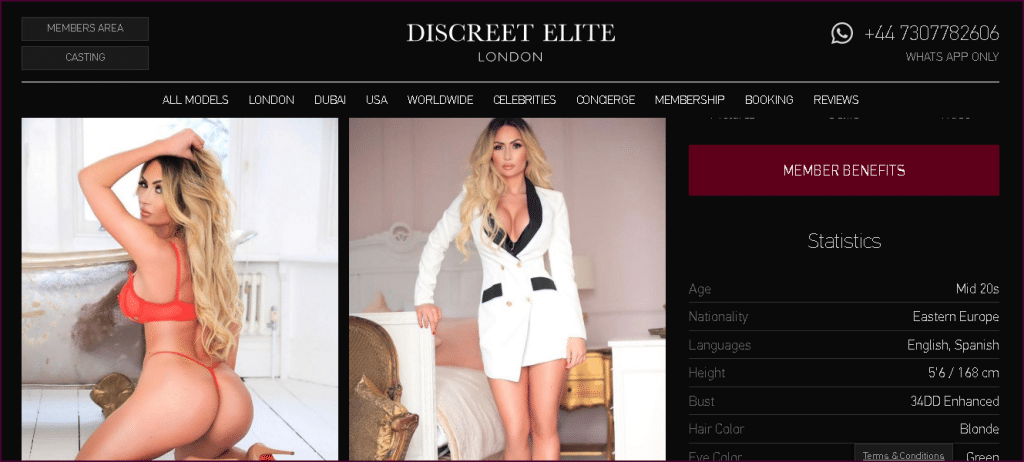 Discreet Elite model stats