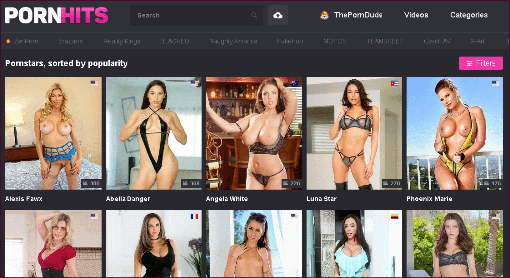 1024px x 559px - PornHits Review & TOP 12 Free Porn Tube Sites Like Pornhits.com