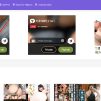 JAV Hub & TOP-12 Δωρεάν JAV και ασιατικοί πορνογραφικοί ιστότοποι όπως το JAVHub.net