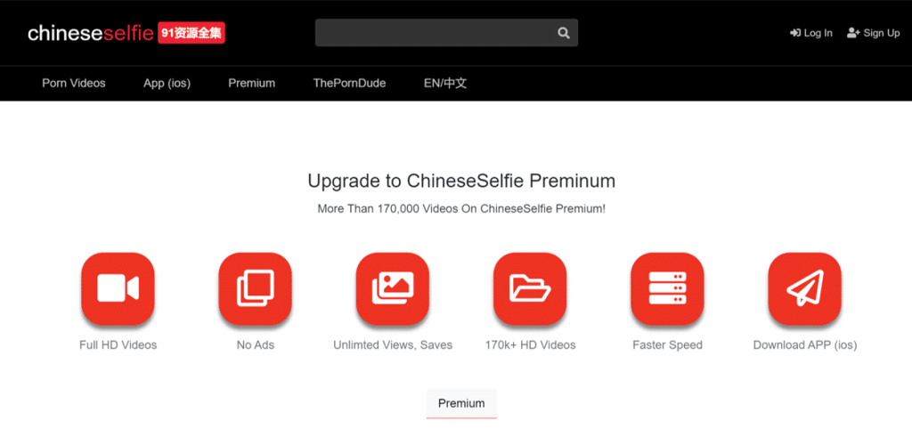 chineseselfie vip