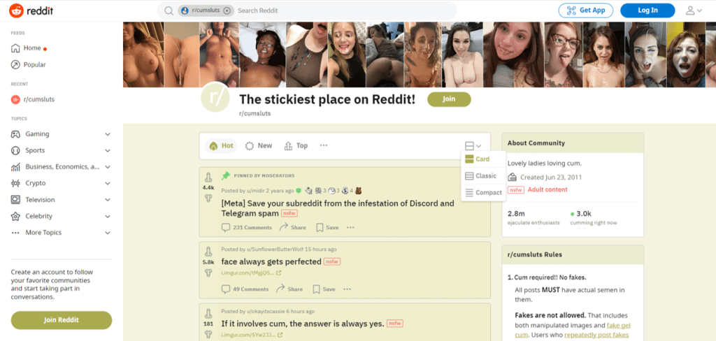 reddit cumsluts maison