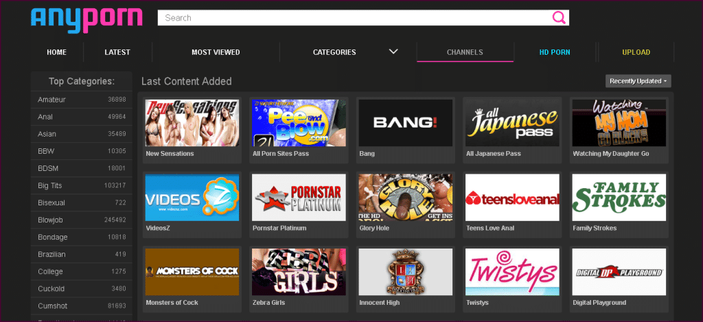 AnyPorn channels