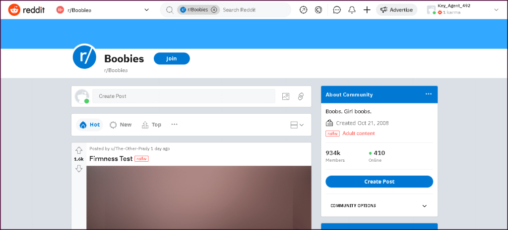 Reddit's Boobies -pääsivu