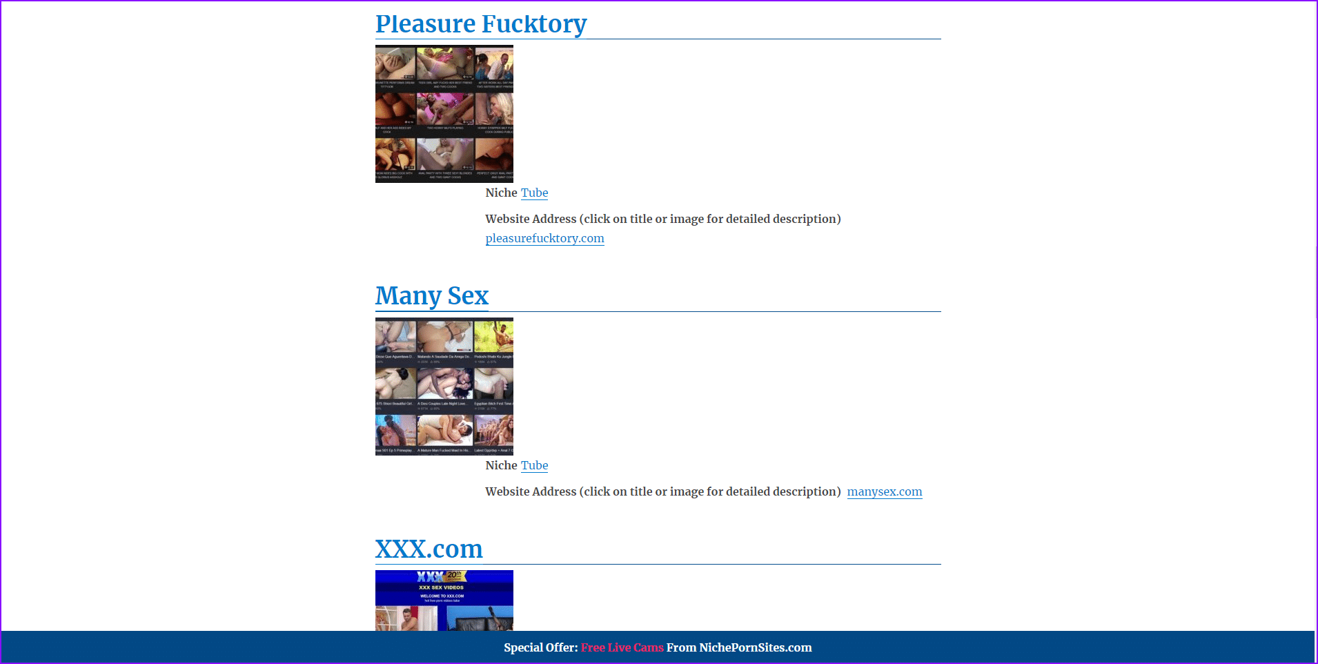 Niche Porn Sites and Top-12 Porn and Adult Sites List and Directories like Nichepornsites pic