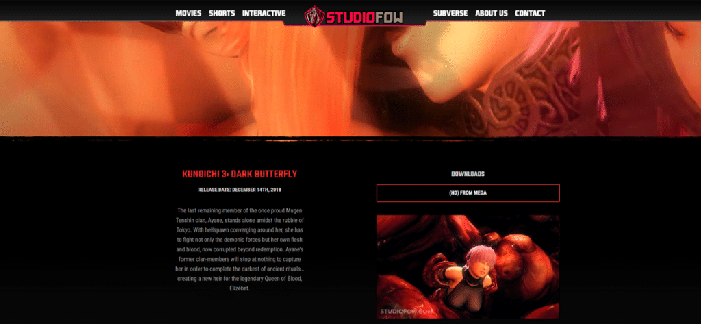 studiofow descriptions