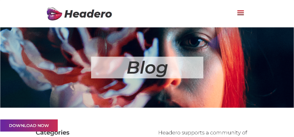 Headero blog