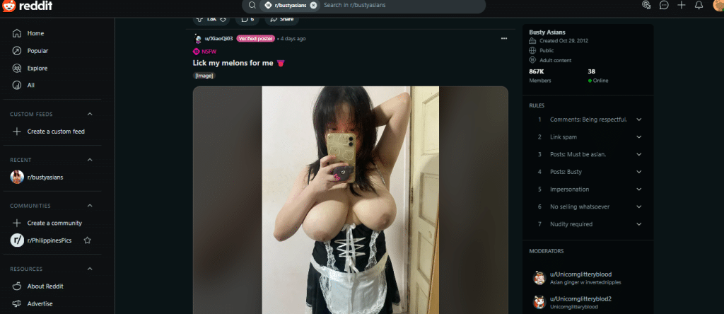 reddit busty asians melons