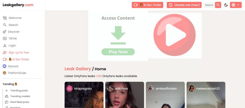 leakgallery home