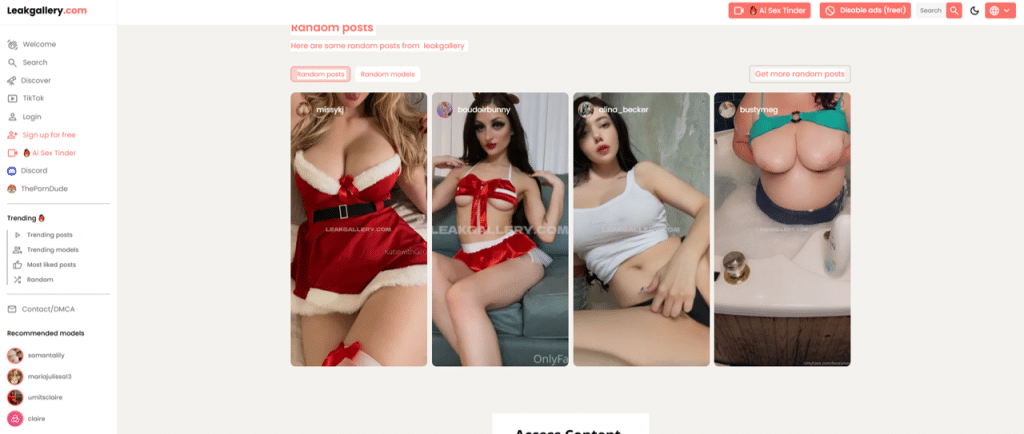 leakgallery random